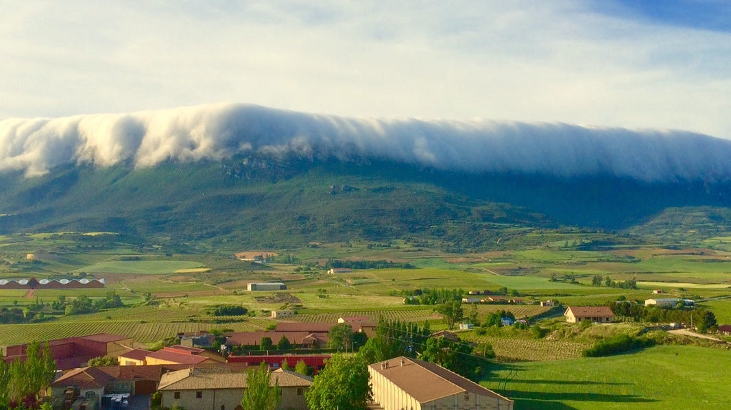 ¿Qué es el vino natural, ecológico y biodinámico? ¿Y cuál me debería interesar?