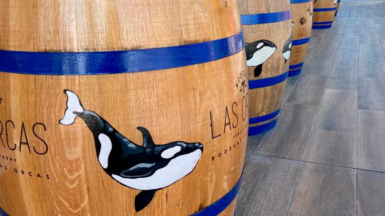 Bodega del Mes | Bodegas Las Orcas