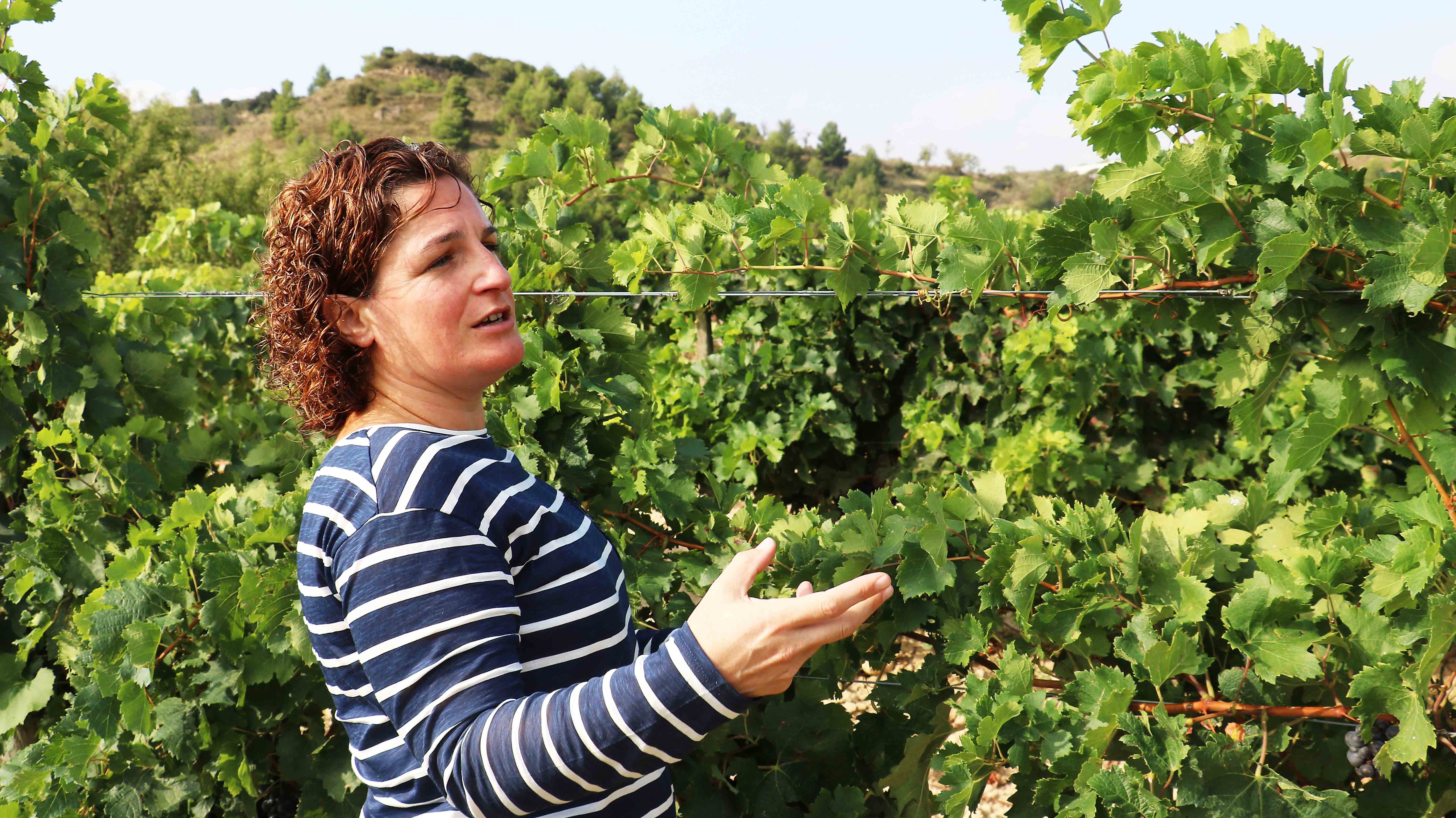 Bodega del Mes | Barbara Palacios