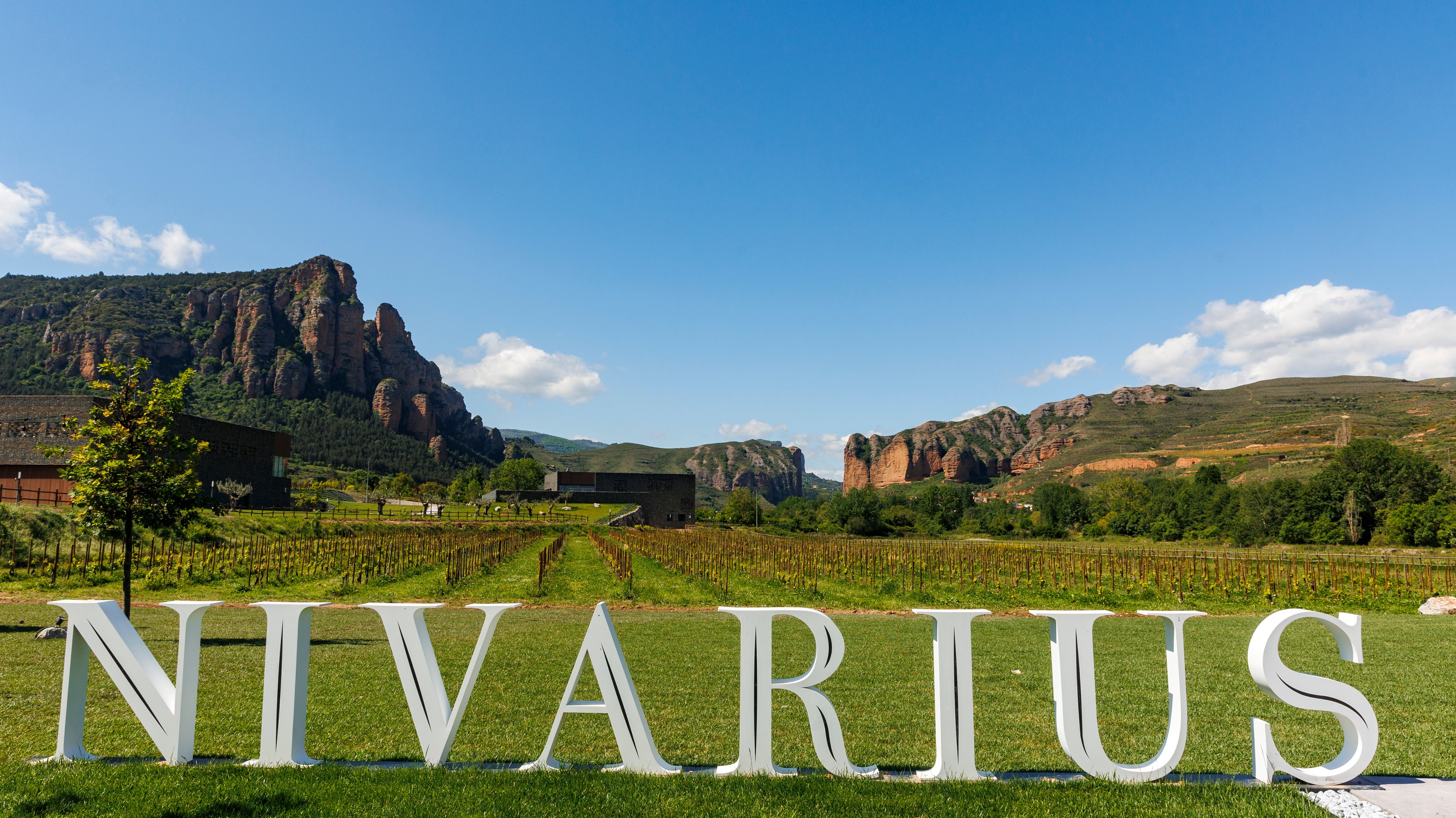 Bodega del mes | Nivarius