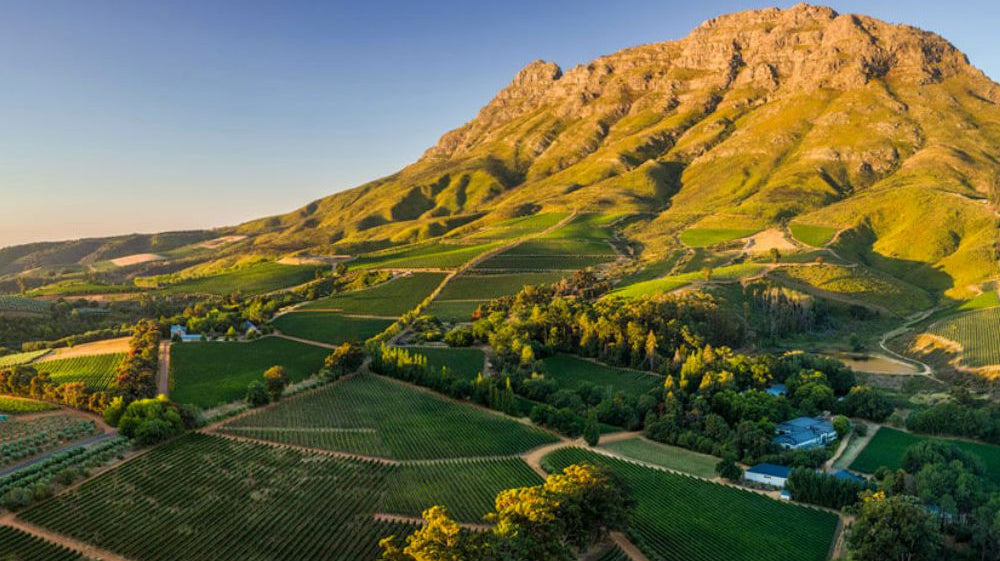 Regiones vinícolas menos conocidas que deberías probar