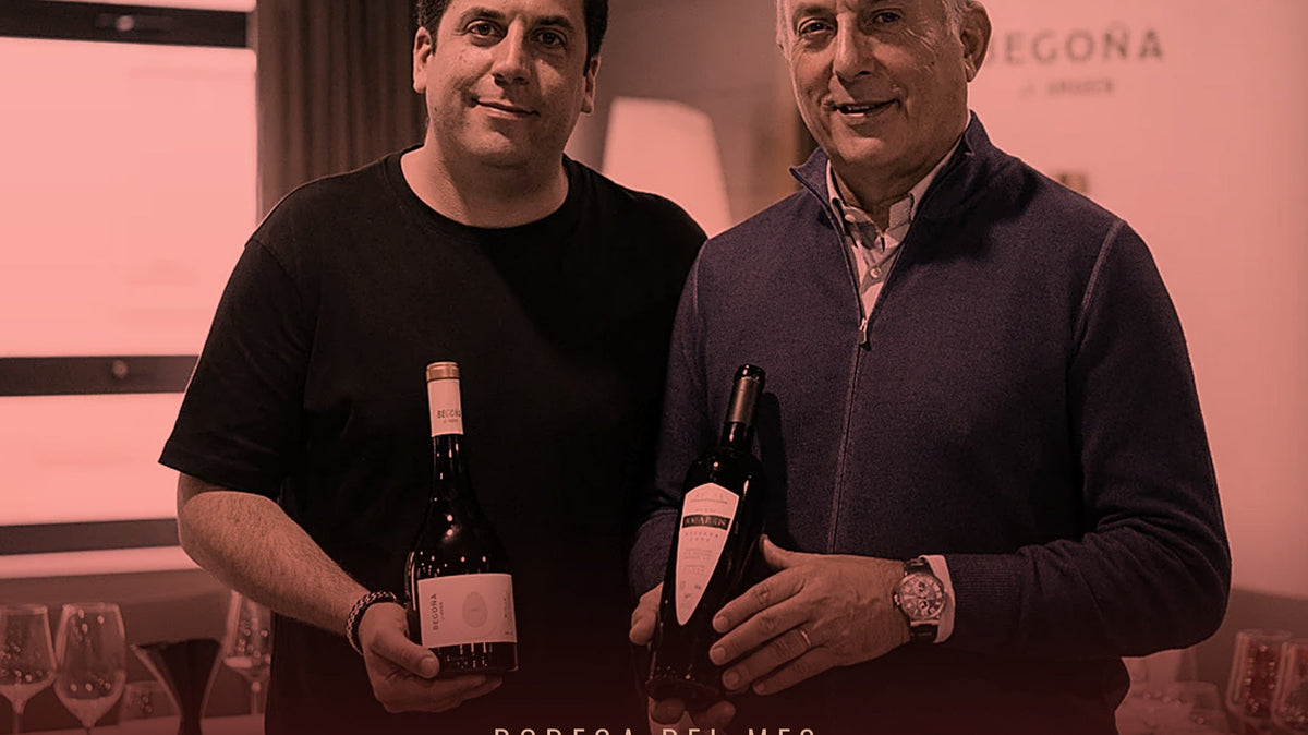 Bodega del Mes | Bodegas Luis Cañas