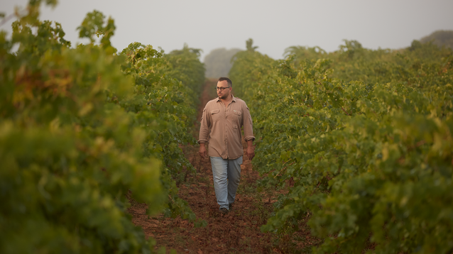 Bodega del Mes | Pepe Rodríguez de Vera
