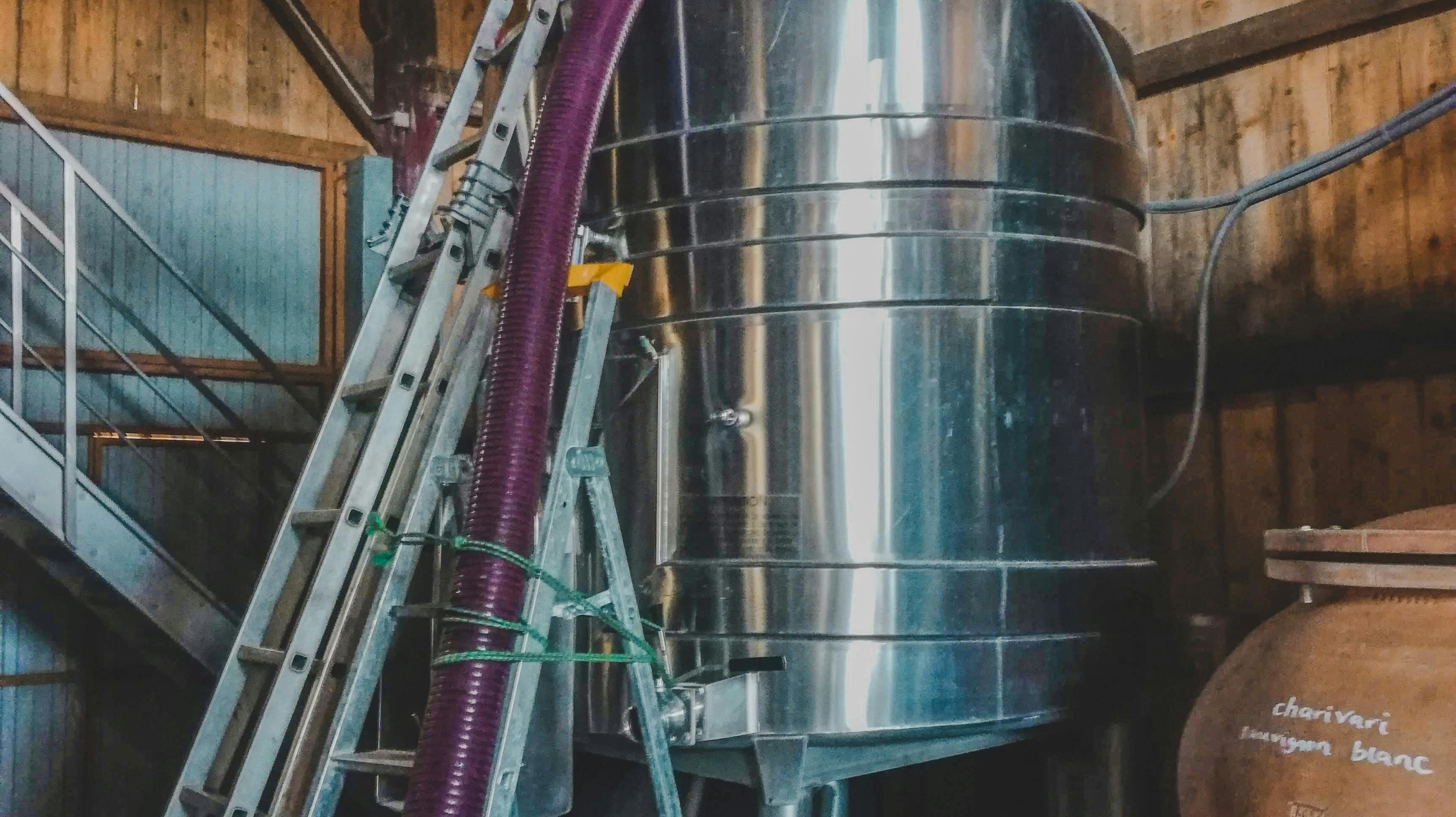 ¿Cómo se hace el vino? (Explicado para humanos, no enólogos)