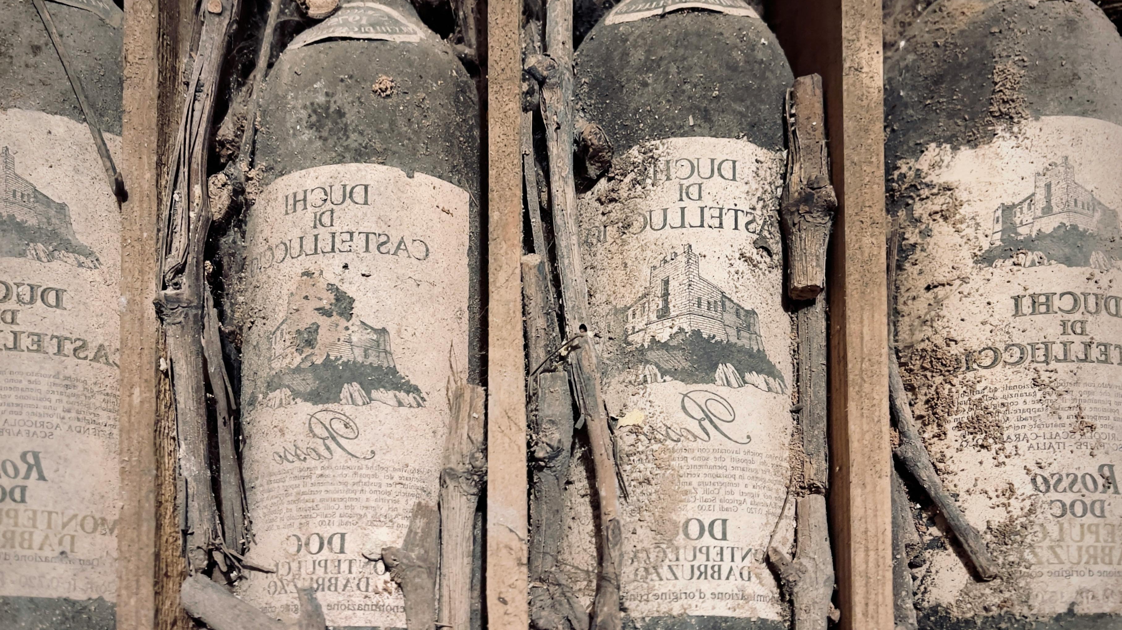 🍷¿Cómo saber si un vino está en su mejor momento para beber?