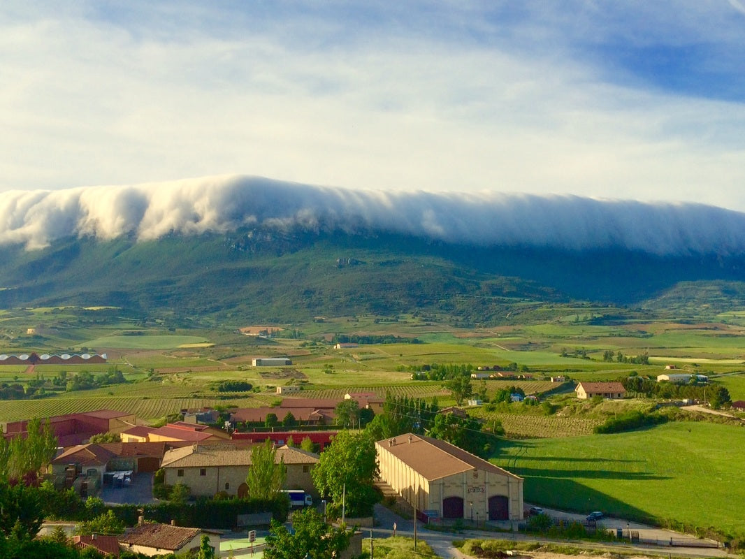 ¿Qué es el vino natural, ecológico y biodinámico? ¿Y cuál me debería interesar?