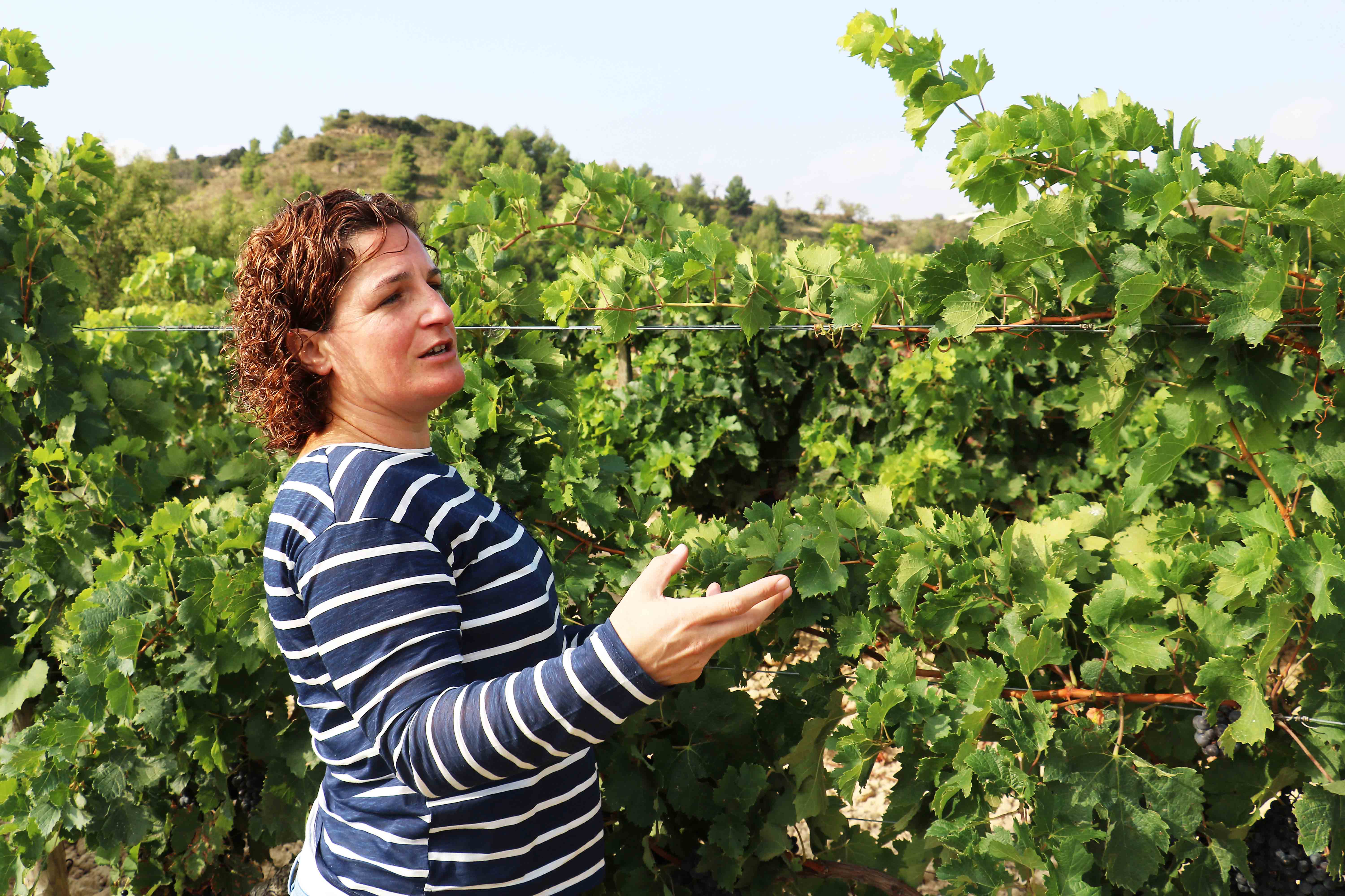 Bodega del Mes | Barbara Palacios
