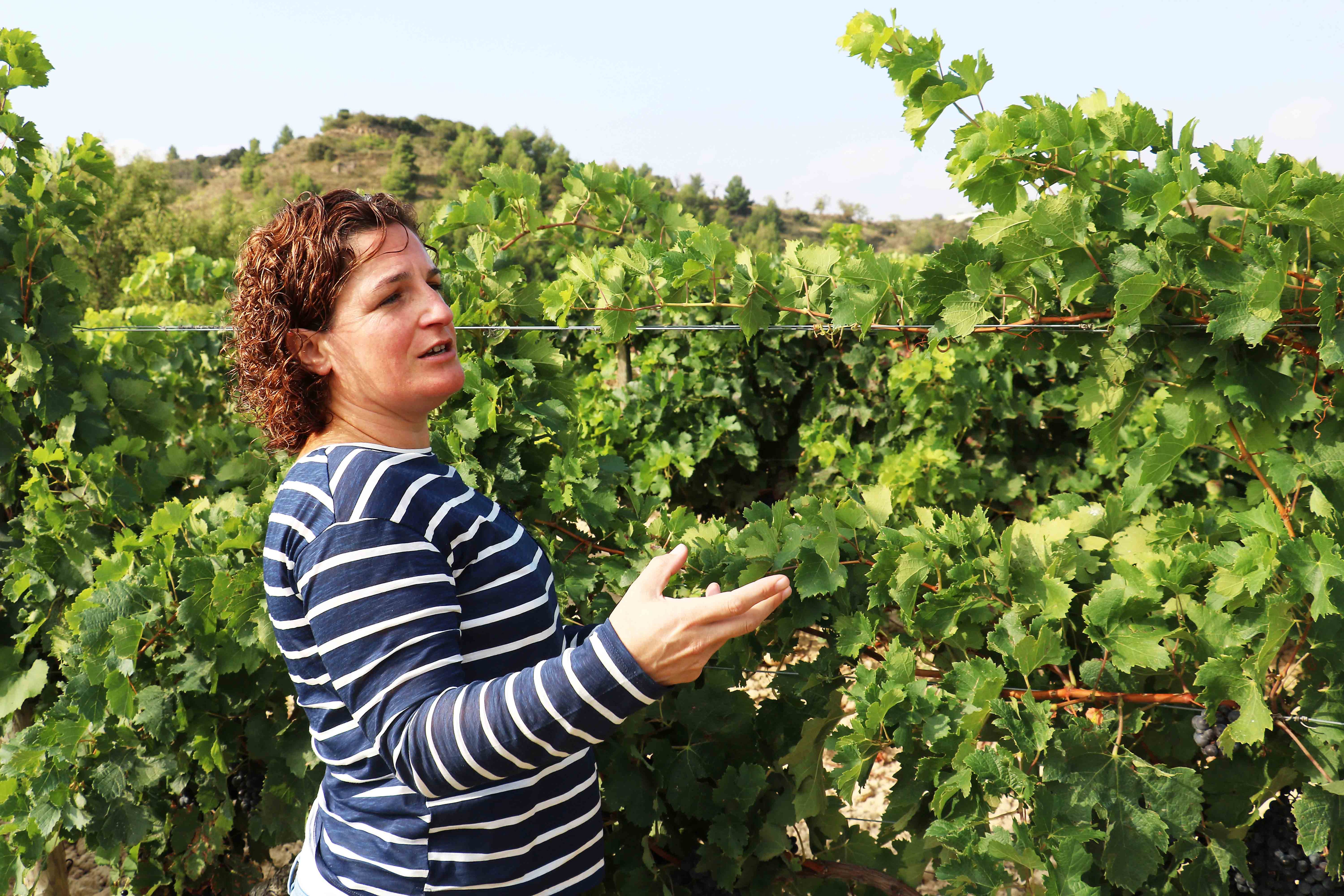 Bodega del Mes | Barbara Palacios