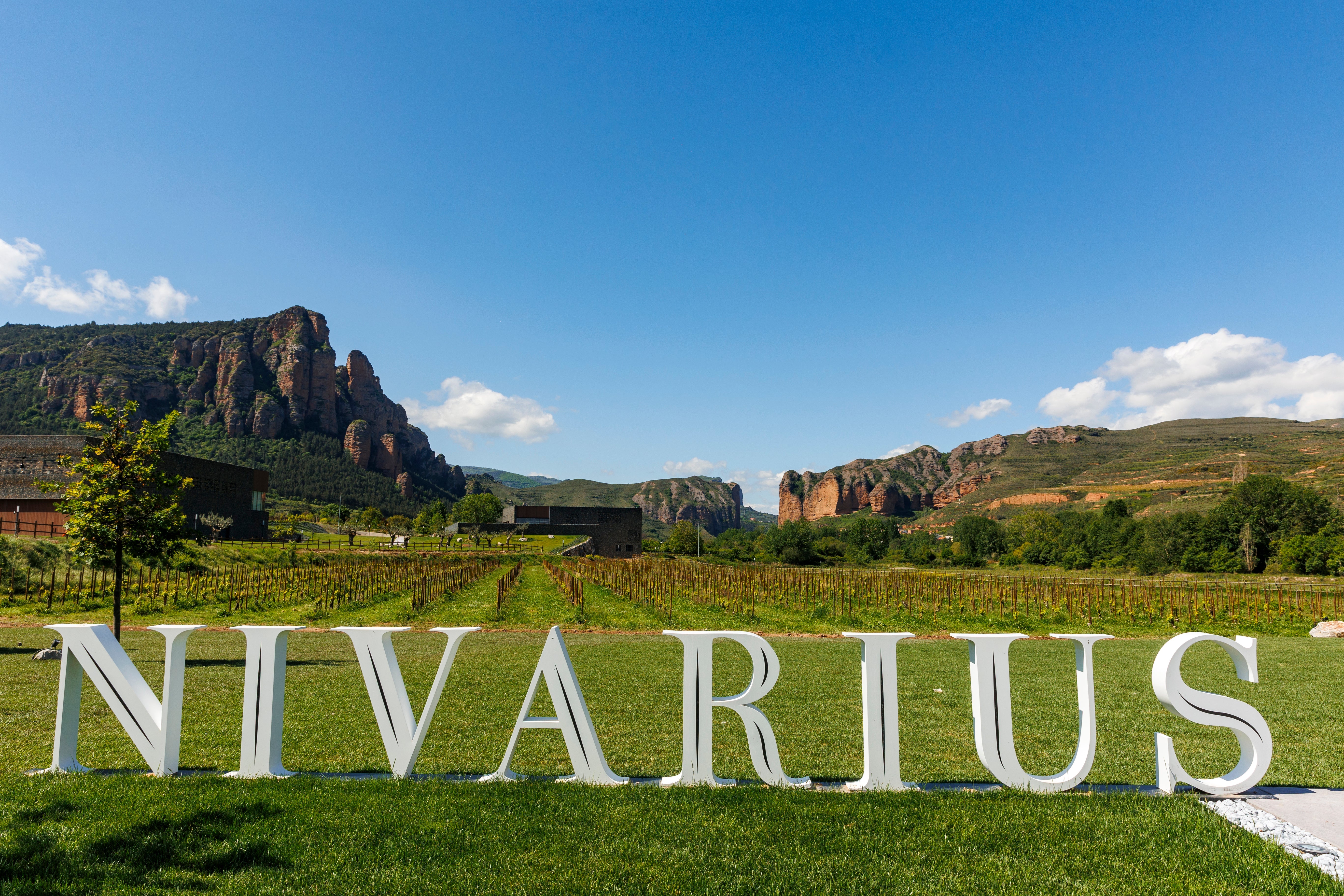 Bodega del mes | Nivarius