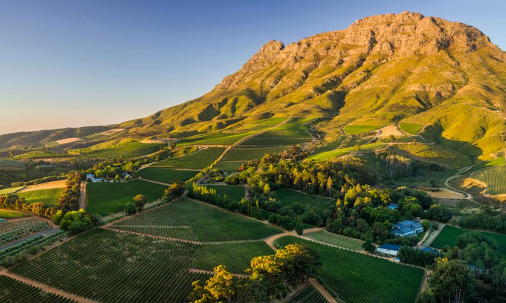 Regiones vinícolas menos conocidas que deberías probar