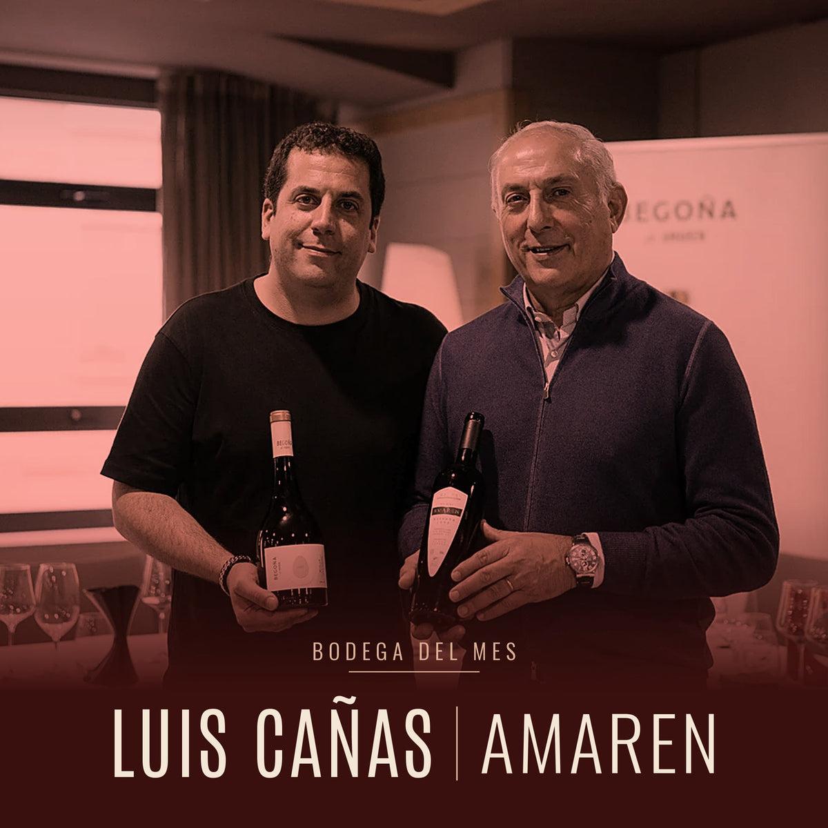 Bodega del Mes | Bodegas Luis Cañas