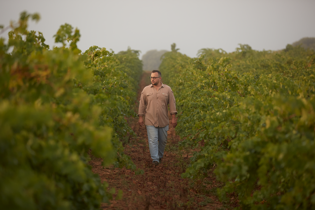Bodega del Mes | Pepe Rodríguez de Vera